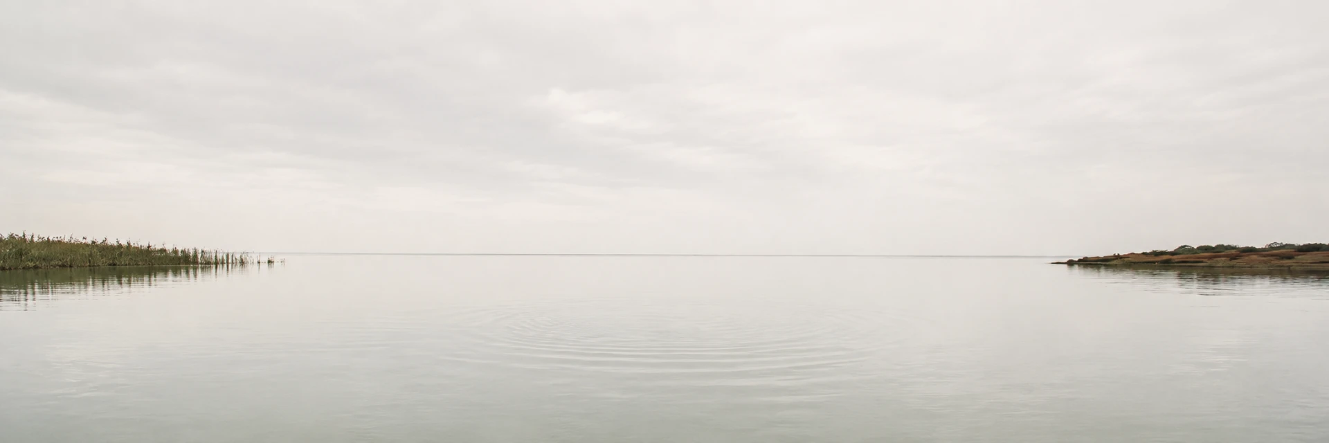 A still lake at first light, soft mist along the far shore