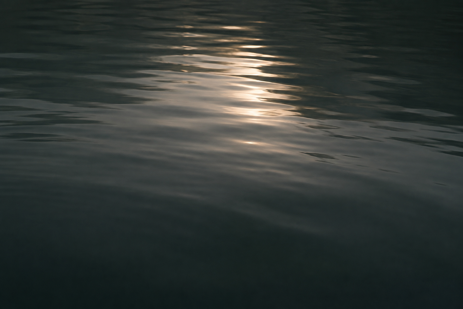 Dark water reflecting soft golden light